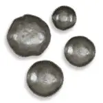 Lucky Coins Indoor-outdoor Metal Wall Decor, Nickel, S/4