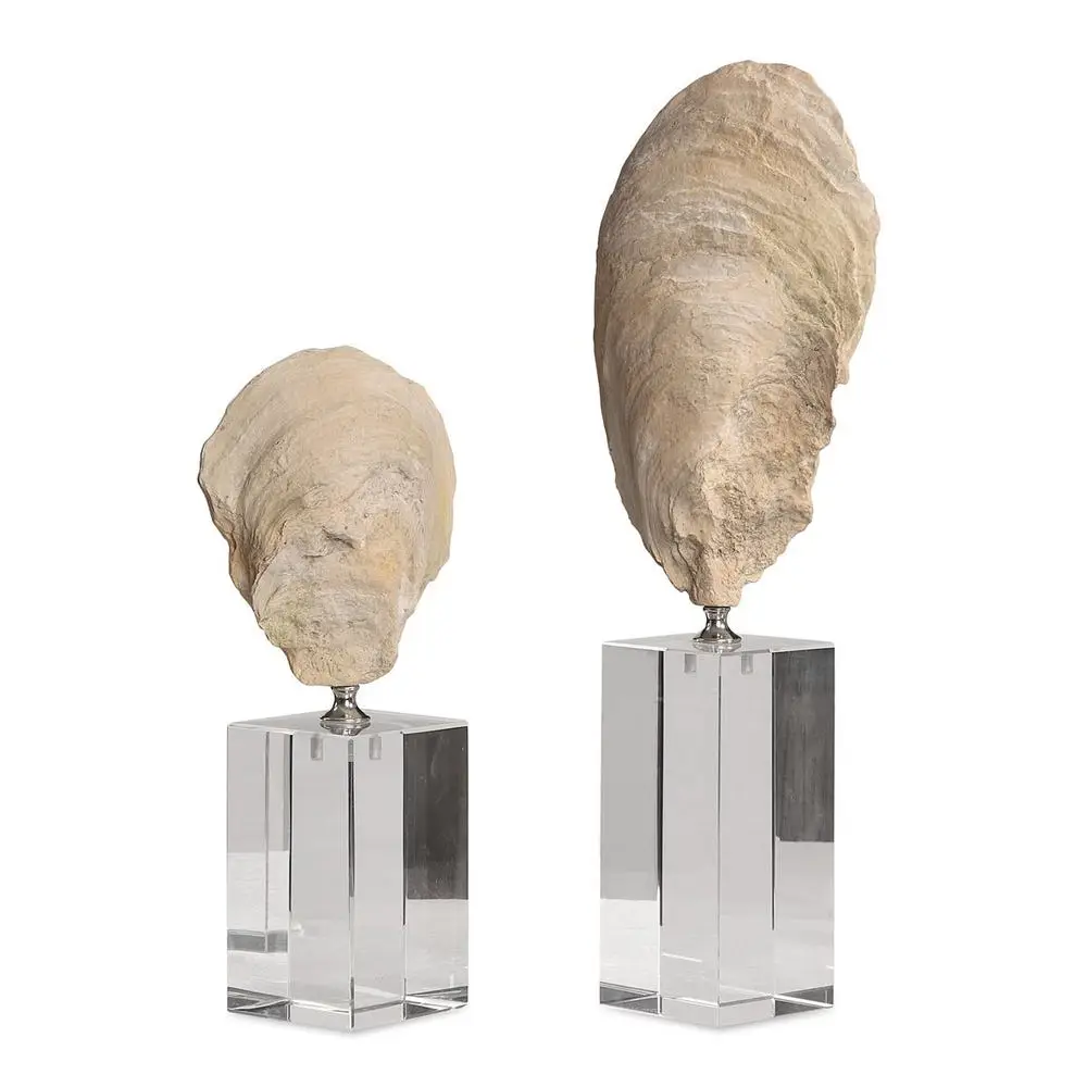 0d61cc0ecf76d5448cf50f523d301291 Oyster Shell Sculptures, S/2 - Image 1