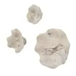Teo Wood Wall Decor, Bleached S/3 - Image 3