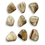 Pebbles Wood Wall Decor, Blonde, S/9