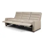Lanier Echo Luxe - Image 12